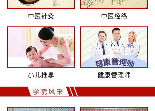 湖北中医药学校的中医养生培训与养生保健服务