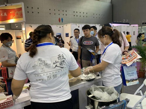 博罗文旅融合再升级 旅博会上艾灸养生服务成“爆款”，引领健康旅游新风尚