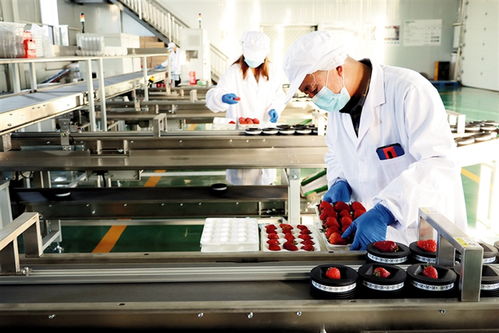 鄂尔多斯 建设农副产品电商服务中心，赋能养生保健服务新生态